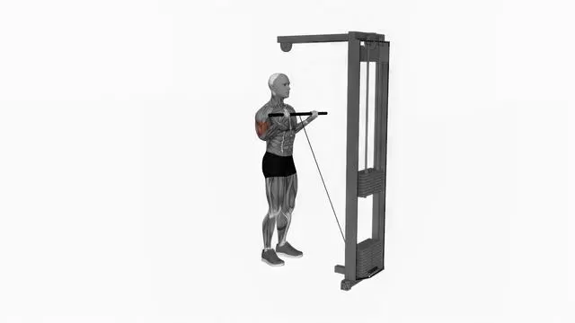 Cable close grip curl (2)
