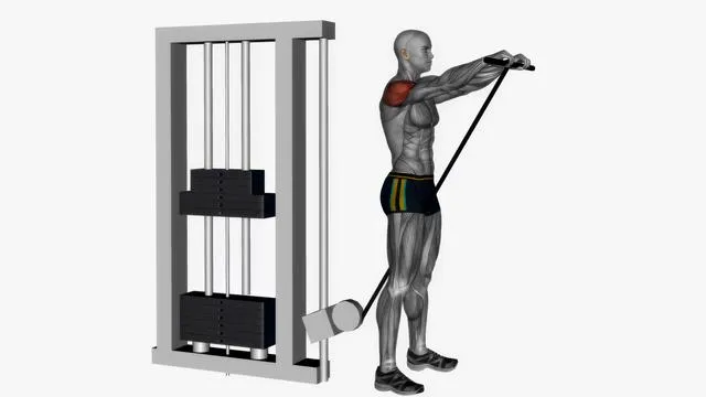 Cable front raises straight bar (2)