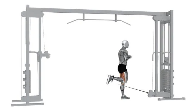 Cable Hamstring Curl (2)