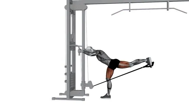 Cable Individual Glute Kickbacks (2)