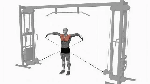 Cable Lateral Raises (2)