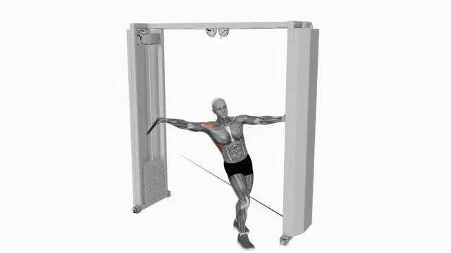 Cable leaning lateral raise (2)
