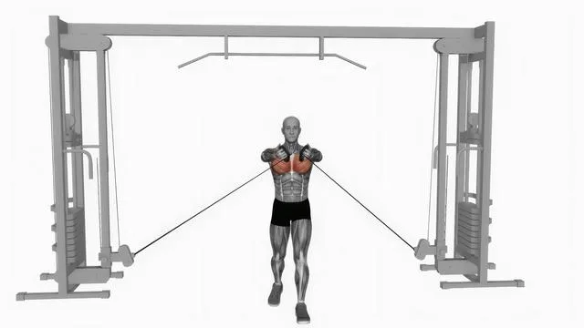 Cable low fly (2)