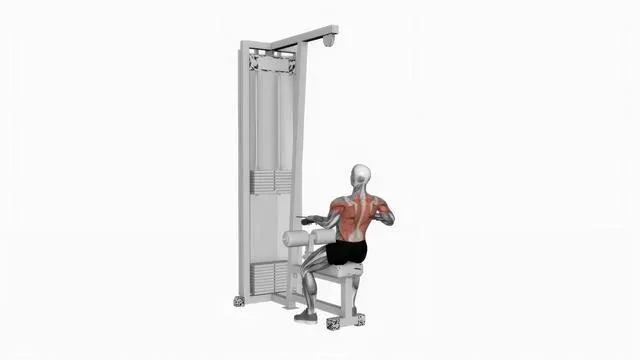 Cable low seated row (2)