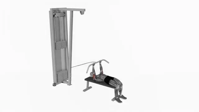 Cable lying triceps extension (2)