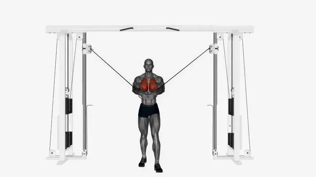 Cable machine high to low (2)