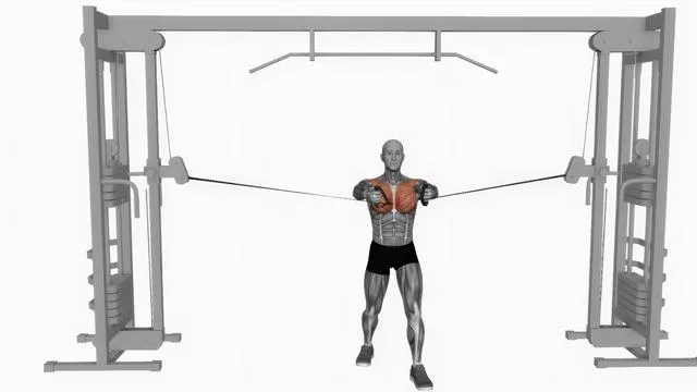 Cable middle fly (2)