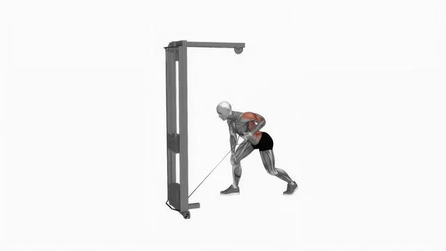 Cable one arm bent over row (2)