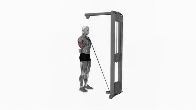 Cable one arm curl (2)