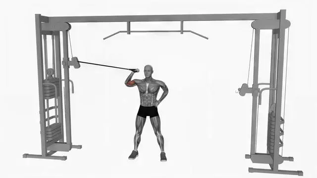 Cable one arm inner biceps curl (2)