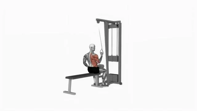 Cable one arm lat pulldown (2)