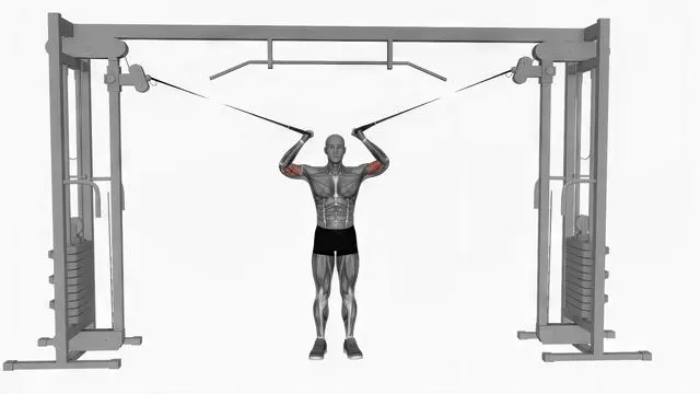 Cable overhead curl (2)