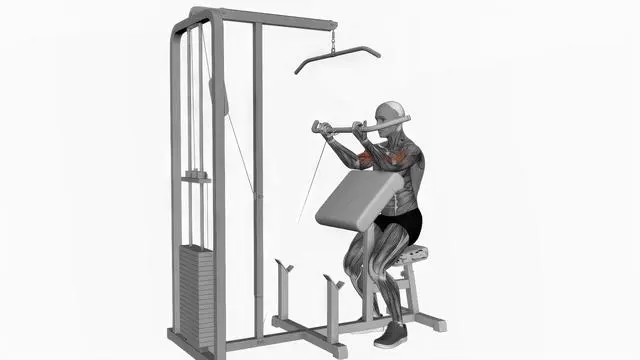 Cable preacher curl (2)