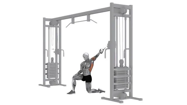 Cable Pull In Kneeling (1)