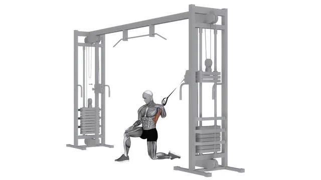 Cable Pull In Kneeling (2)