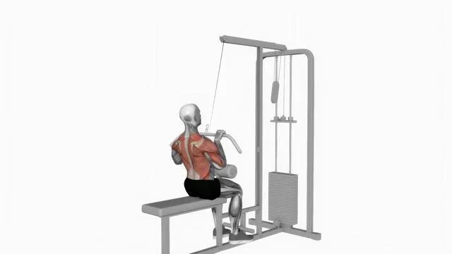 Cable pulldown (2)