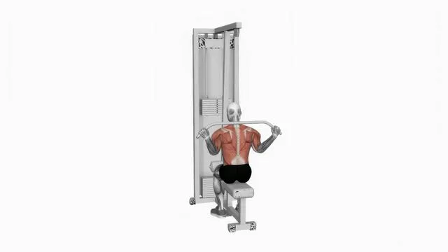 Cable rear pulldown (2)