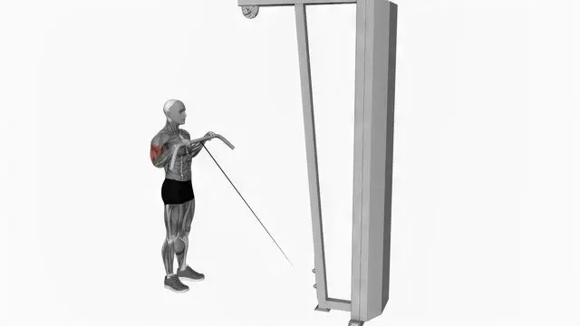 Cable reverse curl (2)