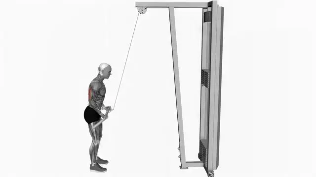 Cable reverse grip pushdown (2)