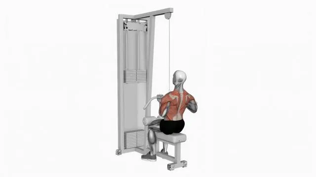 Cable reverse grip straight back seated high row (2)