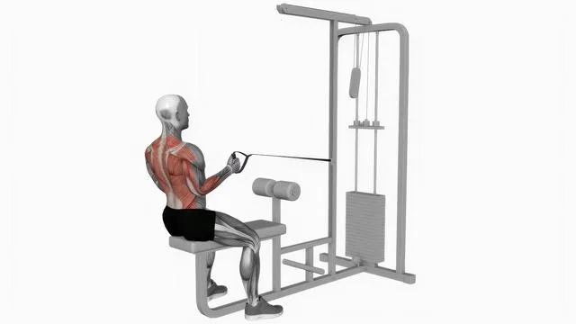 Cable seated one arm alternate row (2)