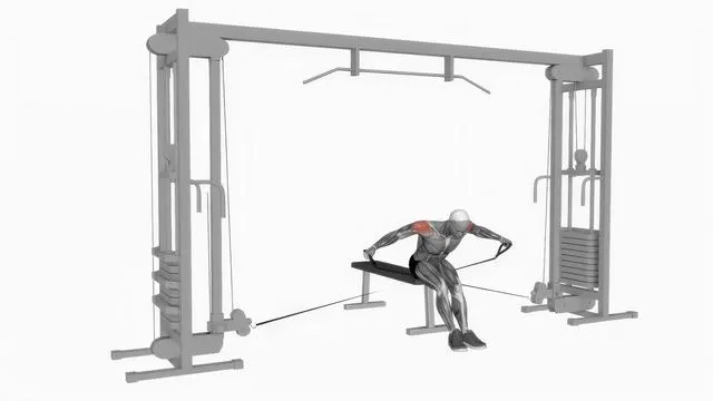 Cable seated rear lateral raise (2)