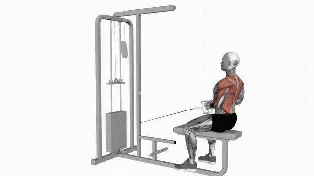 Cable seated row (2)