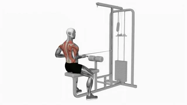 Cable seated supine grip row (2)
