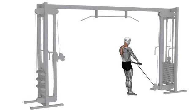 Cable Silverback Shrug (2)