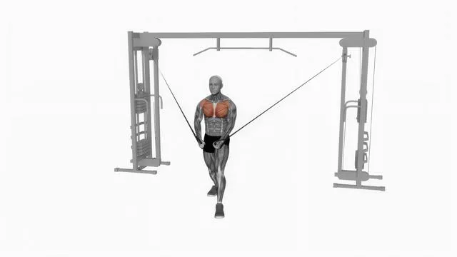 Cable standing up straight crossovers (2)