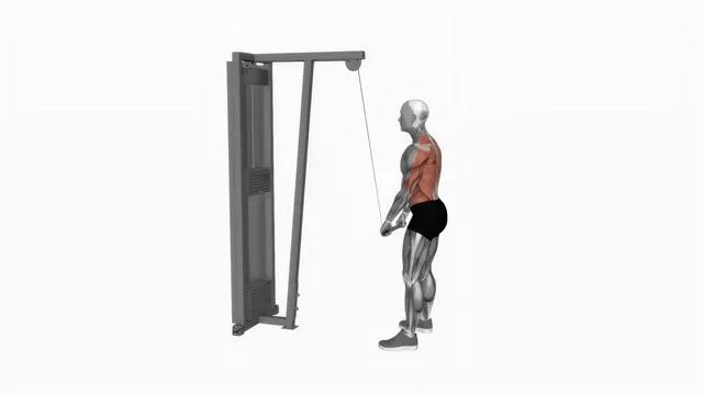 Cable straight arm pulldown (2)