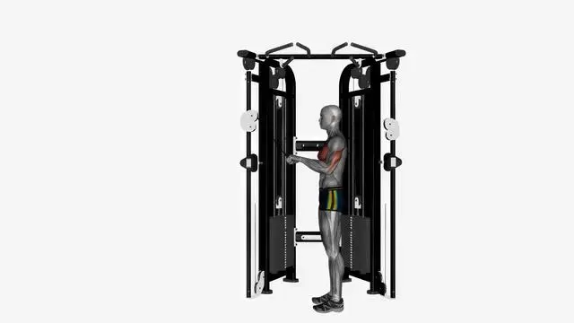 Cable triceps push down ez bar (3)