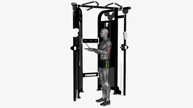 Cable triceps push down ez bar (4)