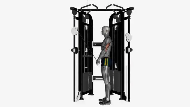 Cable triceps push down straight bar (2)