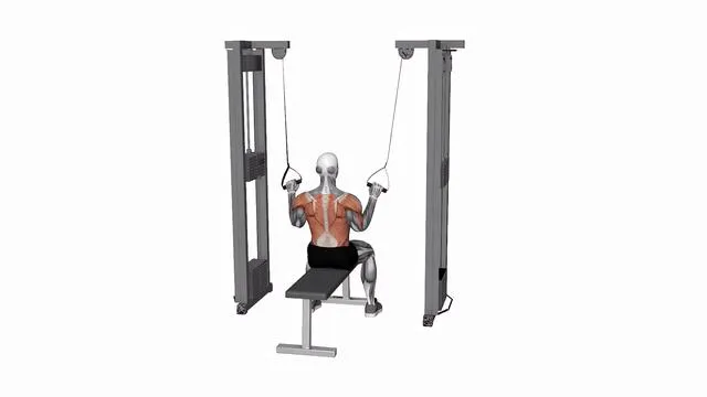Cable twin handle parallel grip lat pulldown (2)