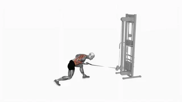 Cable twisting pull (2)