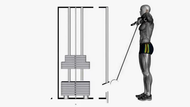 Cable upright row with EZ bar (2)