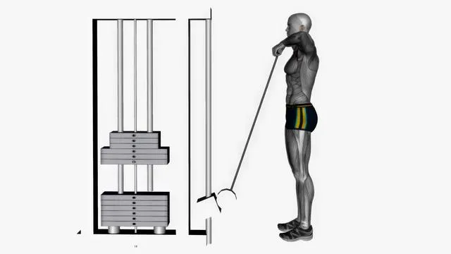 Cable upright row with straight bar (2)
