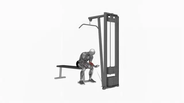 Cable wrist curl (2)