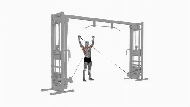 Cable Y raise (2)