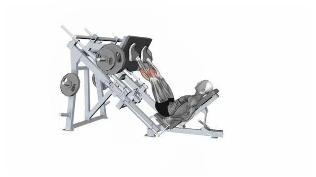 Calf raise leg press machine (2)