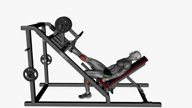 Calf raise leg press machine (3)