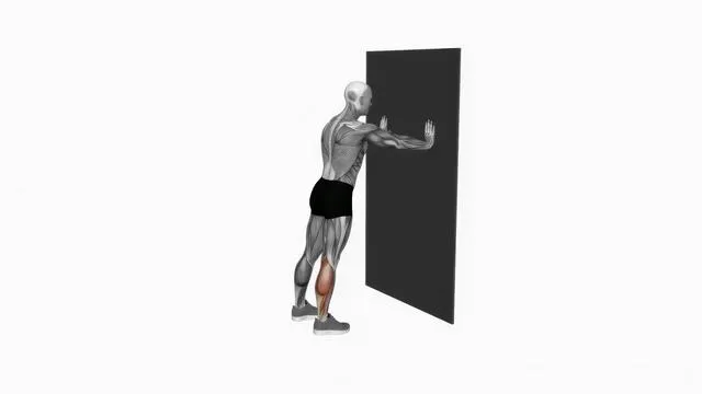 Calf stretch with hands against wall (2)