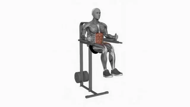 Captains chair leg raise (2)