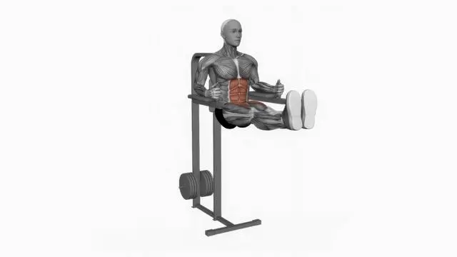 Captains chair straight leg raise (2)
