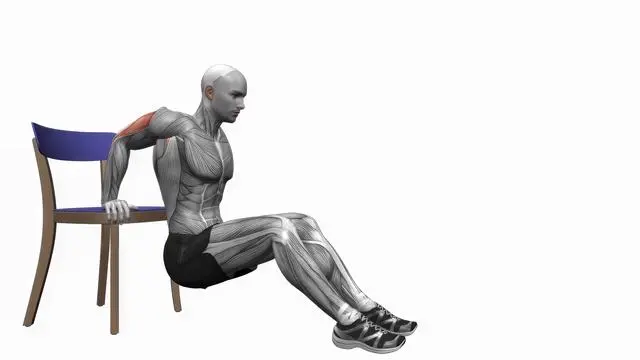 Chair triceps dips (2)