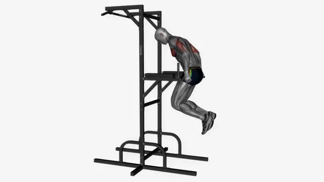 Chest dip (2)