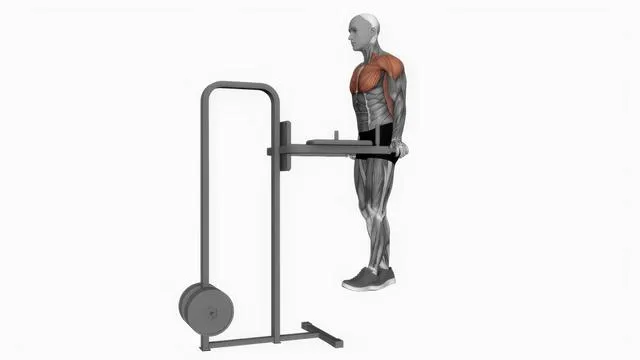 Chest dip (11)