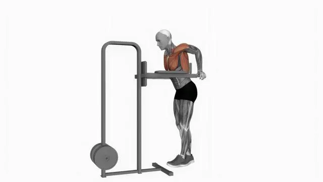 Chest dip (12)