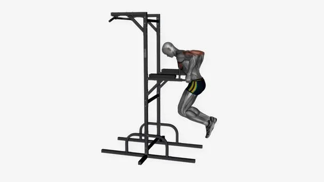 Chest dip (13)